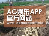 种植基地八