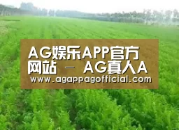 种植基地四