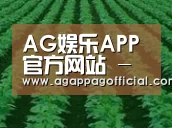 种植基地六(图1)
