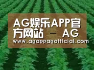 种植基地六
