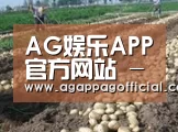 种植基地七(图1)