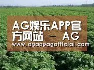 种植基地五(图1)
