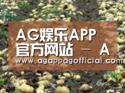 种植基地八(图1)