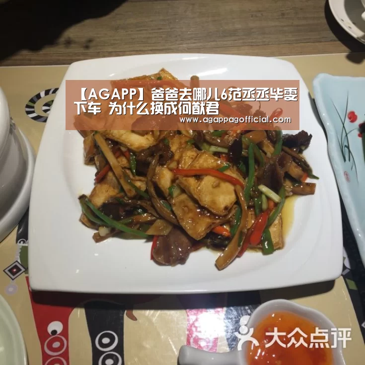 【AGAPP】爸爸去哪儿6范丞丞毕雯珺下车 为什么换成何猷君(图1) AG畅玩