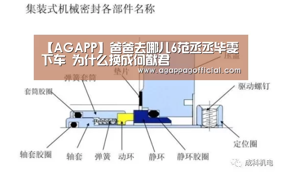 【AGAPP】爸爸去哪儿6范丞丞毕雯珺下车 为什么换成何猷君(图4) AG下载