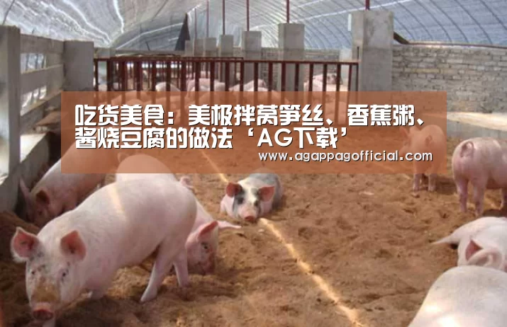 吃货美食:美极拌莴笋丝、香蕉粥、酱烧豆腐的做法‘AG下载’(图1) AG畅玩
