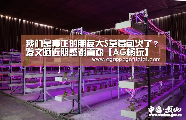 AG畅玩