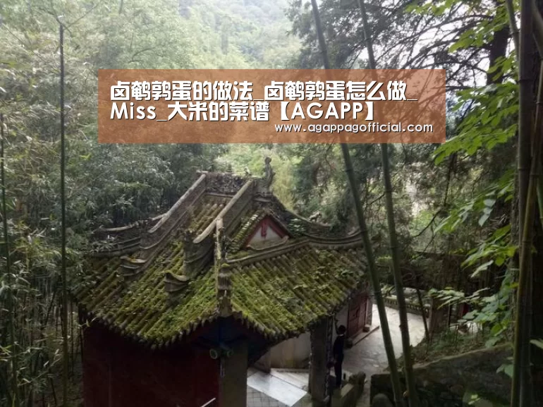 卤鹌鹑蛋的做法_卤鹌鹑蛋怎么做_Miss_大米的菜谱【AGAPP】(图2) AG下载