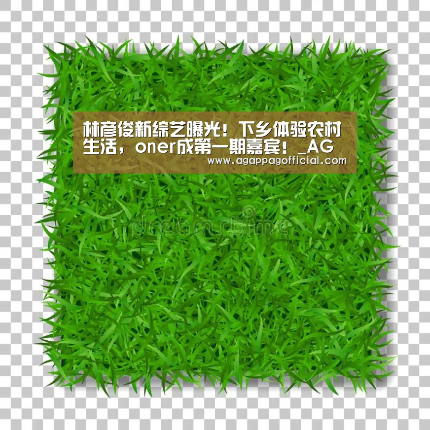 林彦俊新综艺曝光!下乡体验农村生活,oner成第一期嘉宾!_AG下载(图2) AG下载
