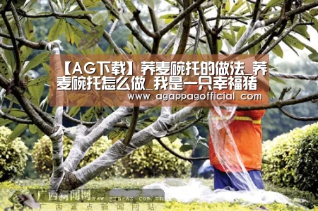 【AG下载】荞麦碗托的做法_荞麦碗托怎么做_我是一只幸福猪的菜谱(图1) AG掌上