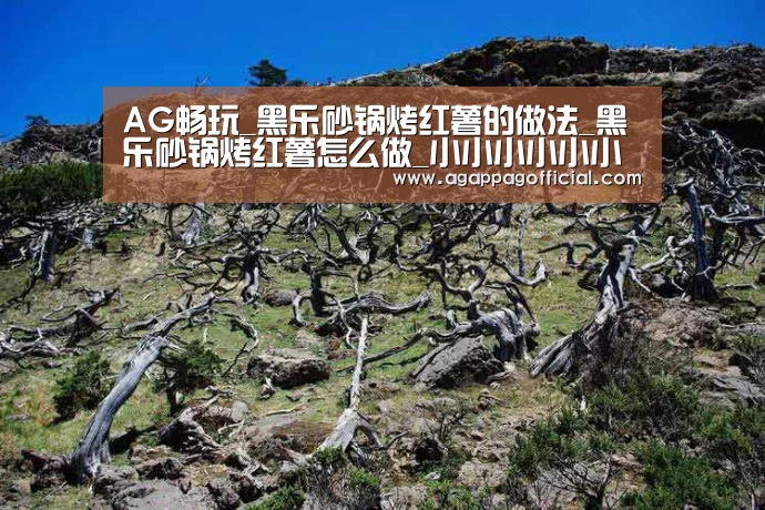 AG畅玩_黑乐砂锅烤红薯的做法_黑乐砂锅烤红薯怎么做_小小小小小小懒熊的菜谱(图3) AG掌上
