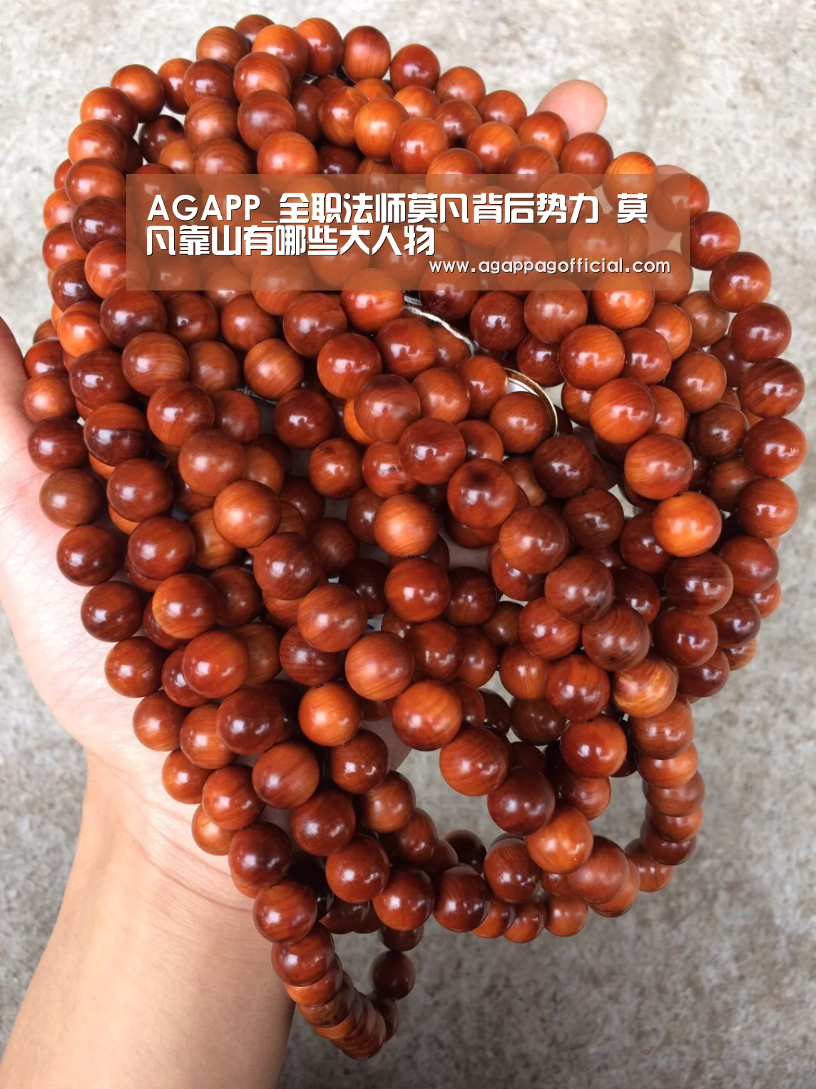 AGAPP_全职法师莫凡背后势力 莫凡靠山有哪些大人物(图1) AG下载